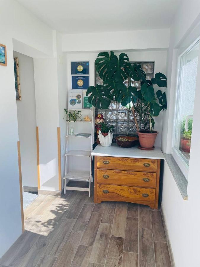 Apartma Pavla Spodnje Gorje ภายนอก รูปภาพ