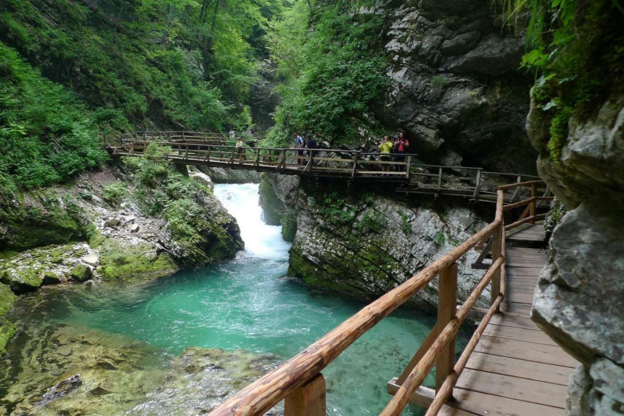 Apartma Pavla Spodnje Gorje ภายนอก รูปภาพ